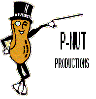 Picture for song 'unbarable' by artist 'p-nut productions'