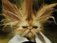 Picture for song '1am God' by artist 'Poetic Flow'