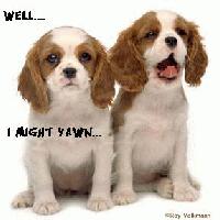 Picture for song 'Split Personality' by artist 'Poetic Flow'