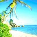 Picture for song 'Poibra - Café Ibiza (Bubling Remix)' by artist 'poibra'