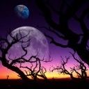 Picture for song 'Poibra - Cursed' by artist 'poibra'