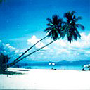 Picture for song 'Poibra - Feel Free' by artist 'poibra'