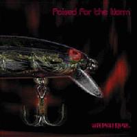 Picture for song 'Gleam' by artist 'Poised for the Worm'
