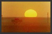 Picture for song 'Sunshine ( iLonggO VersioN)' by artist 'poisonbdjo iLRapDJ'