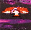 Picture for song 'Walking Through The Fire' by artist 'poison whiskey'