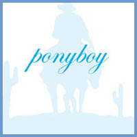 Picture for song 'do you ever wonder' by artist 'ponyboy'