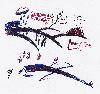 Picture for song 'Fell Out of the Sky' by artist 'Poor June'