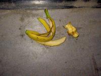 Picture for song 'DDBF - Betongdjungelboken' by artist 'poppe e'