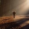 Picture for song 'I Walk Away' by artist 'Pops'