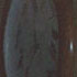 Picture for song 'Dreams' by artist 'Porcelain Tie'
