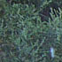 Picture for song 'Where I Wanna Be' by artist 'Porcelain Tie'