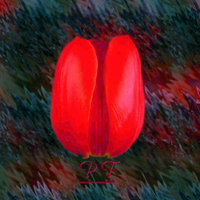 Picture for song 'Ahhhhhh' by artist 'Pornographic Tulip'