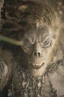 Picture for song 'deFrayne' by artist 'Possessed Oxen'