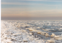 Picture for song 'learn to surf' by artist 'post420'