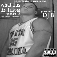 Picture for song 'The Dunn Language' by artist 'Potentially Dangerous'