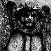 Picture for song 'Nothing Became Everything' by artist 'Pr0geny'