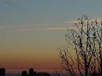 Picture for song 'easily now (February Chill)' by artist 'pras'