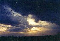 Picture for song 'And They Wonder Why Black Clouds Front' by artist 'Pray for Sam'