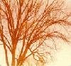 Picture for song 'Of Disintegration' by artist 'Pray for Sam'