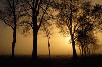 Picture for song 'Geboren Om Te Sterven-P2K ft. BroCade' by artist 'PRD 299'