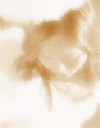 Picture for song 'flyy' by artist 'PreciousPinky'