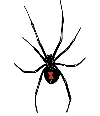 Picture for song 'Black Widow' by artist 'PreCise (US)'