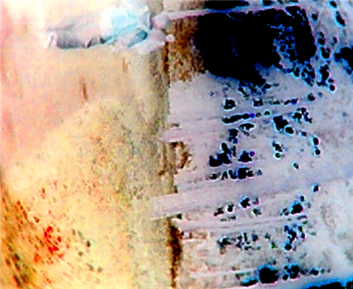Picture for song 'Prophetic Scriptures' by artist 'Presence of Wisdom'