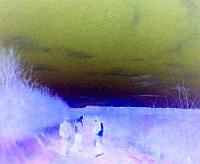 Picture for song 'Role For Tomorrow' by artist 'Presence of Wisdom'
