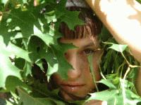 Picture for song 'let's see if i am still lonely' by artist 'prgrmr'