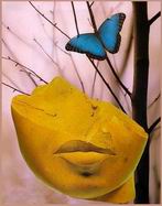 Picture for song 'Wisdom Like Silence' by artist 'Priapism'