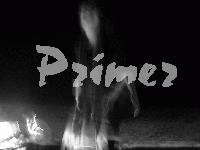 Picture for song 'Wander if (Catastrophe)' by artist 'Primer'
