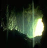 Picture for song 'Cave Dwellin'' by artist 'Primitive Beats'