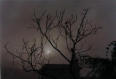 Picture for song 'Sometimes...' by artist 'Primitive Beats'