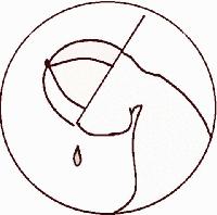 Picture for song 'Trust' by artist 'Prisonerz Of World Productions'