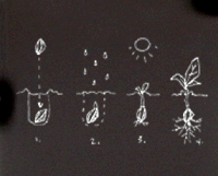 Picture for song '5YP Black Soil' by artist 'Prize un sound'