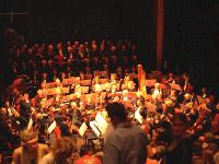 Picture for song 'Classical Opera Beat' by artist 'Pro Beets'