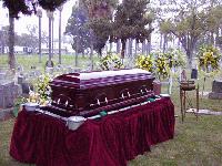 Picture for song 'Funeral Home' by artist 'Pro Beets'