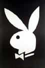 Picture for song 'Splat Goes the bunny' by artist 'Professional Deliverance'
