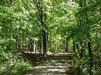 Picture for song 'Anaktix - Where I'm At (freeverse)' by artist 'Profetik Voices'