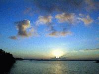 Picture for song 'Sarah's Song' by artist 'Profetik Voices'