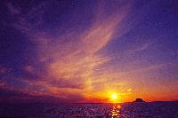 Picture for song 'Introversive' by artist 'Programentalist'