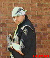 Picture for song 'Madenka' by artist 'Project Bad'