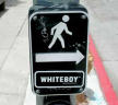 Picture for song 'Whiteboy' by artist 'Project BLACKLIGHT'