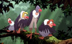 Picture for song 'Jungle Book' by artist 'Proof of Life'