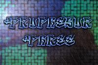 Picture for song 'Can You Feel It' by artist 'Prophesor Phree'
