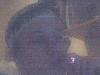 cover pic