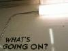 Picture for song 'Whats going on??' by artist 'Pro Technology'