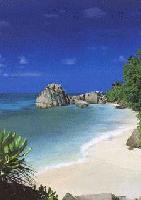 Picture for song 'Dont know' by artist 'PROZAK LIL R CRU'