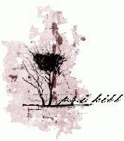 Picture for song 'Dreams of seeing someday' by artist 'P S I Kill'