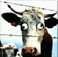 Picture for song 'Random Freestyle' by artist 'Psycho Sea'